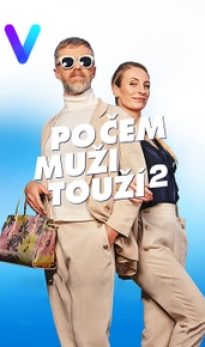 Po čem muži touží 2