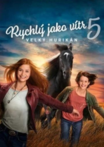 Rychlý jako vítr 5: Velký hurikán